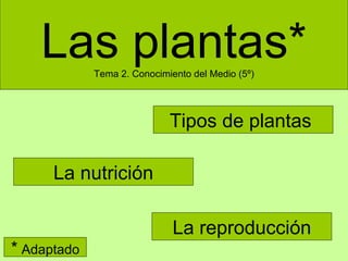 Las plantas* Tema 2. Conocimiento del Medio (5º) Tipos de plantas  La nutrición La reproducción *  Adaptado 