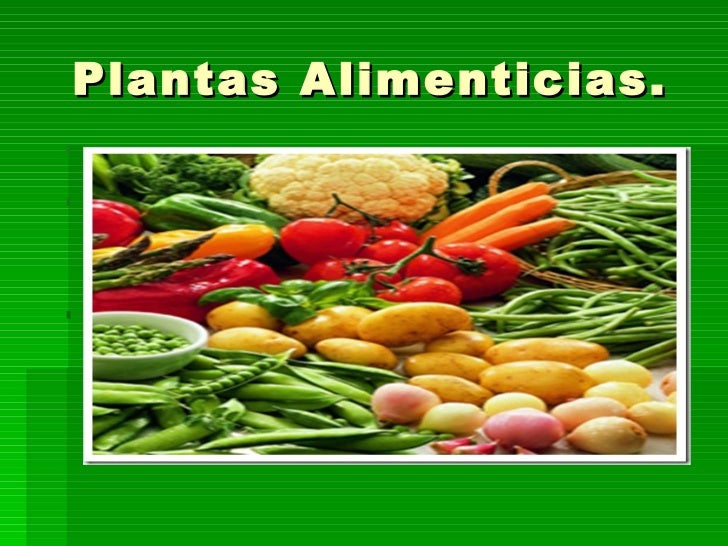 plantas alimenticias 3 legumbres y hortalizas ul li legumbres y plantas alimenticias 3 legumbres y hortalizas ul li legumbres y