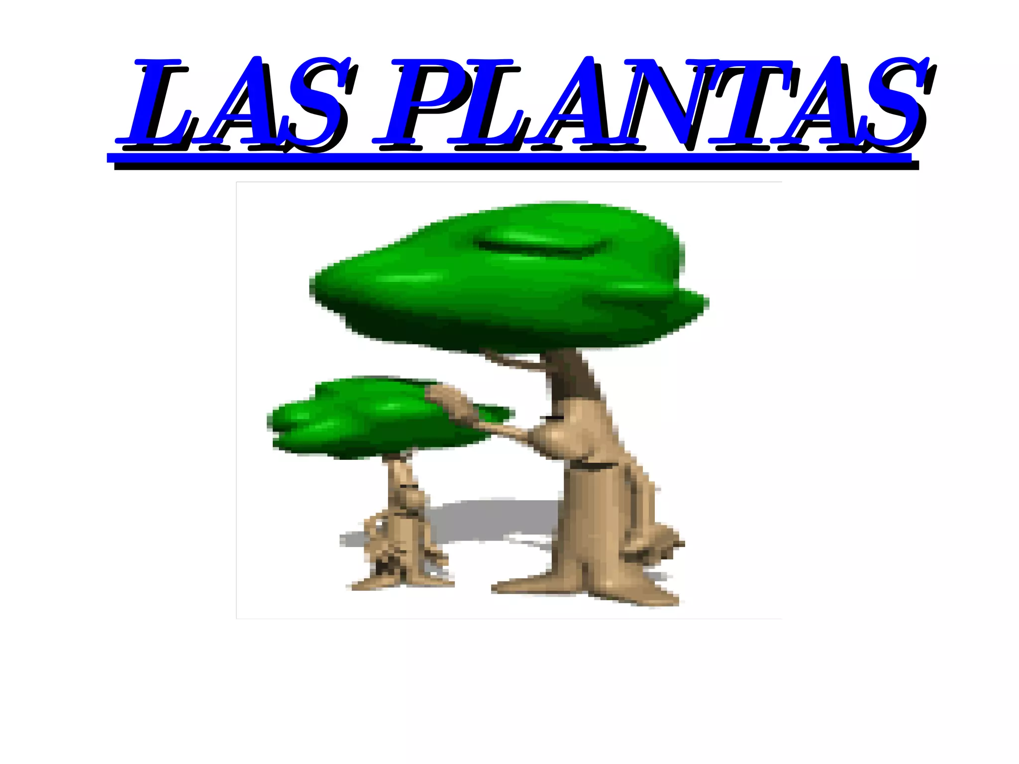 LAS PLANTAS