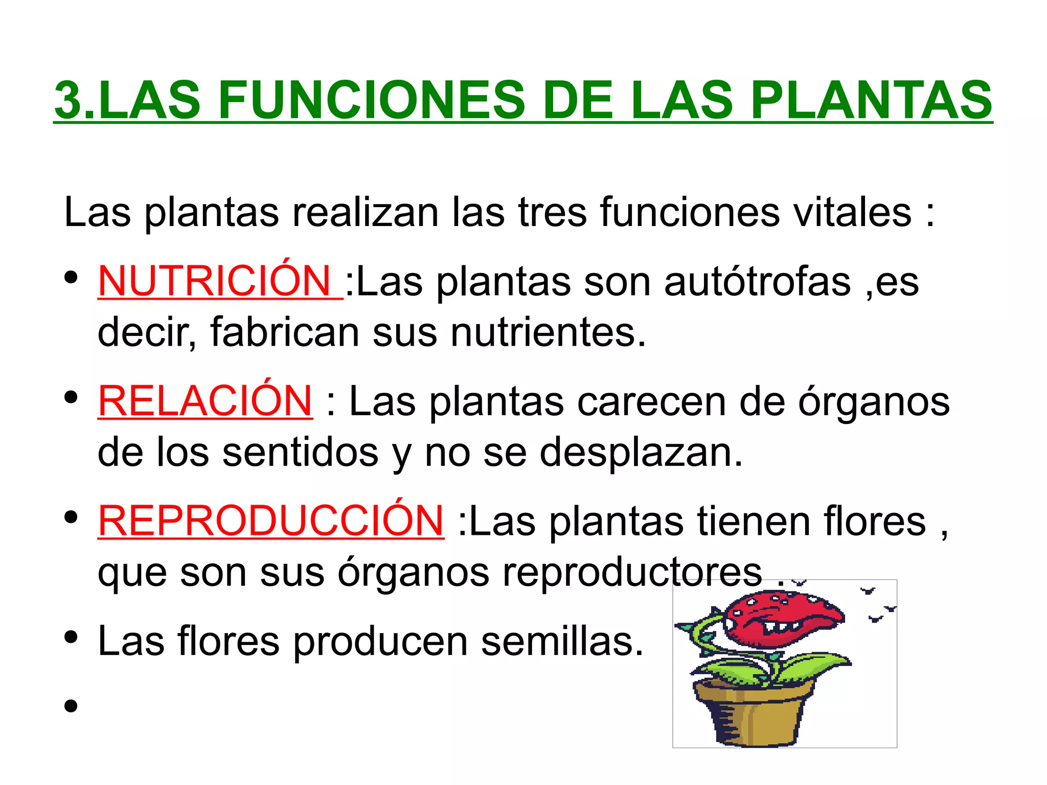 3.LAS FUNCIONES DE LAS PLANTAS Las plantas realizan las tres funciones vitales : NUTRICIÓN :Las plantas son autótrofas ,es decir, fabrican sus nutrientes. RELACIÓN : Las plantas carecen de órganos de los sentidos y no se desplazan. REPRODUCCIÓN :Las plantas tienen flores , que son sus órganos reproductores . Las flores producen semillas.