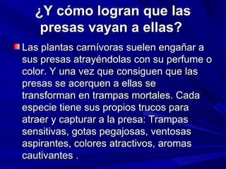 ¿Y cómo logran que las presas vayan a ellas?  Las plantas carnívoras suelen engañar a sus presas atrayéndolas con su perfume o color. Y una vez que consiguen que las presas se acerquen a ellas se transforman en trampas mortales. Cada especie tiene sus propios trucos para atraer y capturar a la presa: Trampas sensitivas, gotas pegajosas, ventosas aspirantes, colores atractivos, aromas cautivantes . 