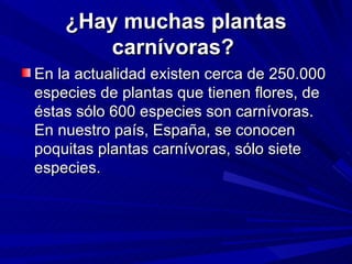 ¿Hay muchas plantas carnívoras?  En la actualidad existen cerca de 250.000 especies de plantas que tienen flores, de éstas sólo 600 especies son carnívoras. En nuestro país, España, se conocen poquitas plantas carnívoras, sólo siete especies.      