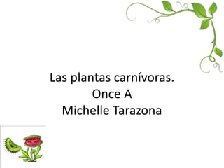 Las plantas carnívoras. 
Once A 
Michelle Tarazona 
 