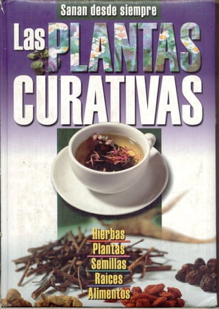Las plantas curativas