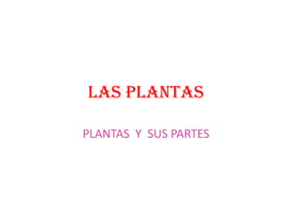 LAS PLANTAS

PLANTAS Y SUS PARTES
 