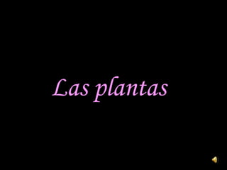 Las plantas 