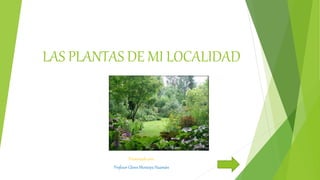 LAS PLANTAS DE MI LOCALIDAD
Presentado por:
Profesor Glenn Montoya Huamán
 