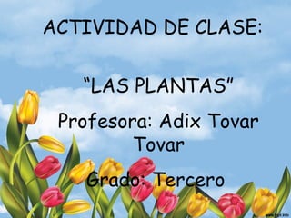 ACTIVIDAD DE CLASE:


   “LAS PLANTAS”
 Profesora: Adix Tovar
         Tovar
   Grado: Tercero
 