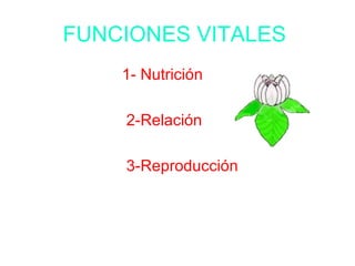FUNCIONES VITALES  1- Nutrición 2-Relación 3-Reproducción 