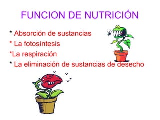 FUNCION DE NUTRICIÓN *  Absorción de sustancias  * La fotosíntesis *La respiración *  La eliminación de sustancias de desecho 
