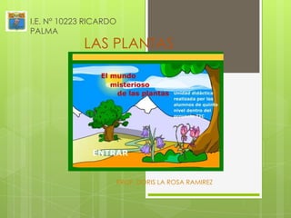 LAS PLANTAS
PROF. DORIS LA ROSA RAMIREZ
I.E. N° 10223 RICARDO
PALMA
 