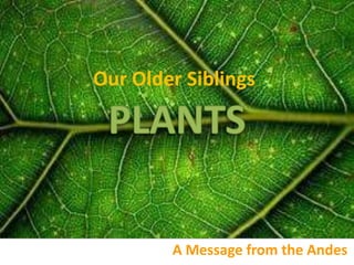 Our Older Siblings




        A Message from the Andes
 