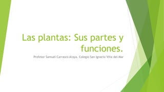 Las plantas: Sus partes y
funciones.
Profesor Samuel Carrasco Araya. Colegio San Ignacio Viña del Mar
 