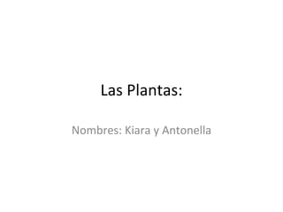 Las Plantas: Nombres: Kiara y Antonella 