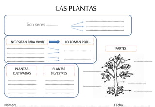 LAS PLANTAS
Son seres …………
----------------------------------
----------------------------------
----------------------------------
NECESITAN PARA VIVIR LO TOMAN POR…
----------------------------------
----------------------------------
----------------------------------
----------------------------------
------------------------
------------------------ ………………….
………………….
………………….
………………….
………………….
PARTES
PLANTAS
CULTIVADAS
PLANTAS
SILVESTRES
--------------------------
--------------------------
--------------------------
--------------------------
--------------------------
--------------------------
--------------------------
--------------------------
Nombre……………………………………………………………………………………………………..…Fecha……………………………
 