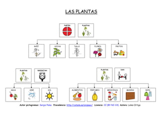 Autor pictogramas: Sergio Palao Procedencia: http://catedu.es/arasaac/ Licencia: CC (BY-NC-CA) Autora: Leles Ortiga
LAS PLANTAS
PARTES PLANTAS
RAÍZ FRUTOSHOJAS TALLO FLORES
NECESITANPLANTAS
AGUA AIRE SOL
PLANTAS DAN
ALIMENTOS ROPAPERFUMES MEDICINAS MADERA
 