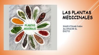 LAS PLANTAS
MEDICINALES
INVESTIGAR PARA
ALCANZAR EL
ÉXITO
 