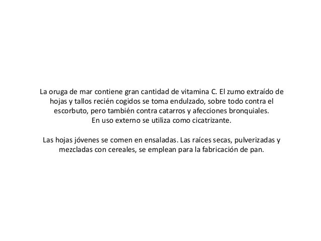 Las Plantas Medicinales De La Desembocadura Del Guadalhorce