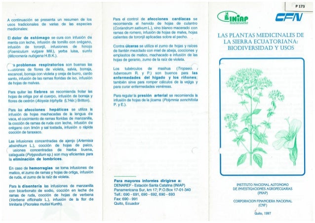 Las Plantas Medicinales De La Sierra Ecuatoriana Biodiversidad Y Uso