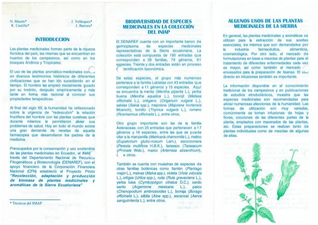 Las Plantas Medicinales De La Sierra Ecuatoriana Biodiversidad Y Uso