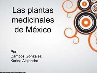Las plantas
medicinales
de México

Por:
Campos González
Karina Alejandra
 