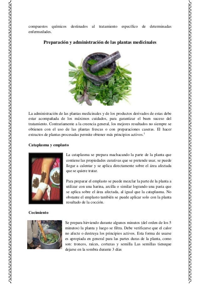 Las Plantas Medicinales Y Sus Efectos En El Ser Humano Documento