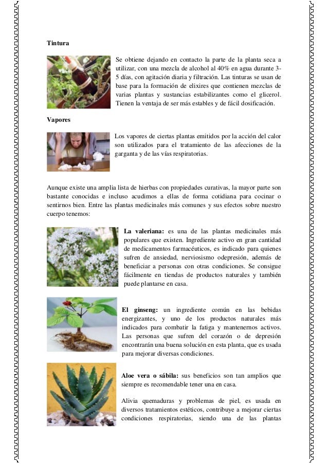 El libro alena el castigo como a dejar beber leer onlayn