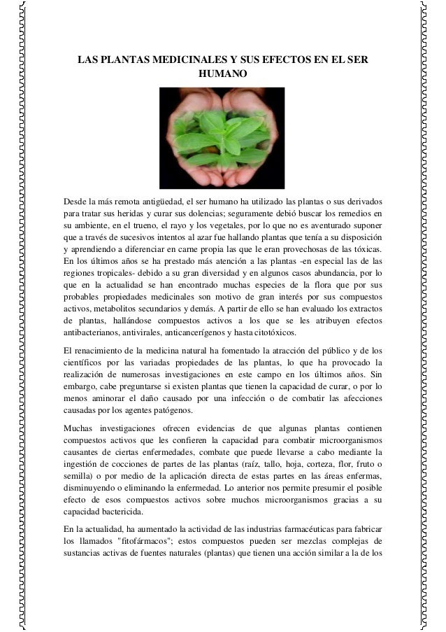 Las Plantas Medicinales Y Sus Efectos En El Ser Humano Documento