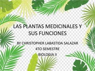 LAS PLANTAS MEDICINALES Y
SUS FUNCIONES
BY CHRISTOPHER LABASTIDA SALAZAR
4TO SEMESTRE
BIOLOGIA II
 