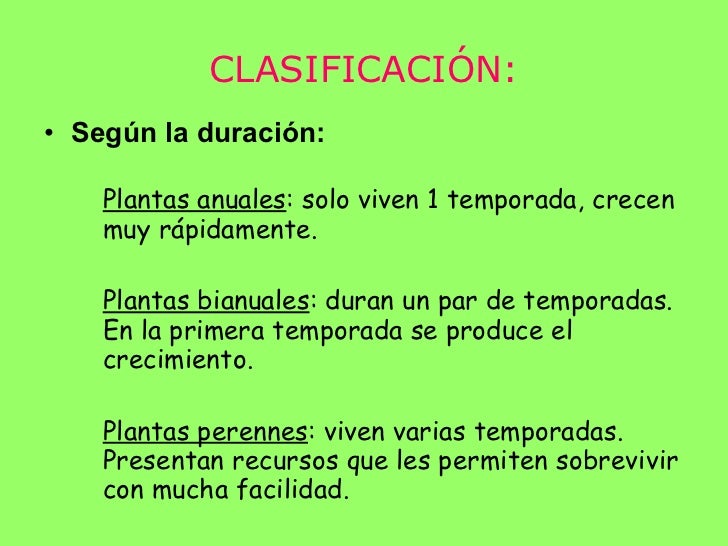 Las plantas power