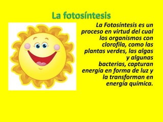La Fotosíntesis es un
proceso en virtud del cual
      los organismos con
       clorofila, como las
 plantas verdes, las algas
                 y algunas
      bacterias, capturan
energía en forma de luz y
       la transforman en
         energía química.
 