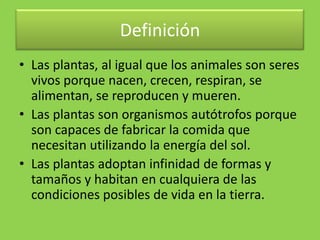 Definición
• Las plantas, al igual que los animales son seres
  vivos porque nacen, crecen, respiran, se
  alimentan, se reproducen y mueren.
• Las plantas son organismos autótrofos porque
  son capaces de fabricar la comida que
  necesitan utilizando la energía del sol.
• Las plantas adoptan infinidad de formas y
  tamaños y habitan en cualquiera de las
  condiciones posibles de vida en la tierra.
 