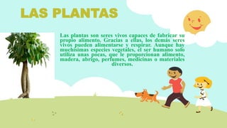 LAS PLANTAS
Las plantas son seres vivos capaces de fabricar su
propio alimento. Gracias a ellas, los demás seres
vivos pueden alimentarse y respirar. Aunque hay
muchísimas especies vegetales, el ser humano solo
utiliza unas pocas, que le proporcionan alimento,
madera, abrigo, perfumes, medicinas o materiales
diversos.