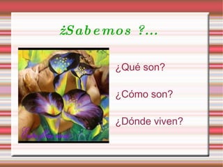 ¿ Sabemos ?... ¿Qué son?