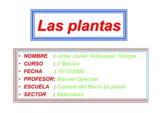 Las plantas
•   NOMBRE : víctor Javier Velásquez Vargas
•   CURSO   : 3°Básico
•   FECHA   : 12/12/2006
•   PROFESOR: Manuel Oyarzún
•   ESCUELA : Cumbre del Barro de peñol
•   SECTOR : Naturaleza
 