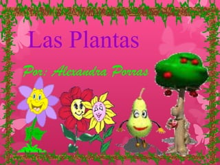 Las Plantas
Por: Alexandra Porras

 