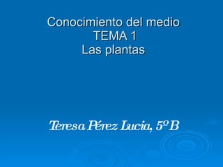 Conocimiento del medio   TEMA 1 Las plantas Teresa Pérez Lucia, 5º B 