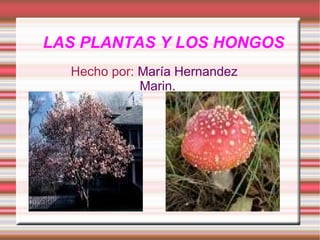 LAS PLANTAS Y LOS HONGOS Hecho por:  María Hernandez Marin. 
