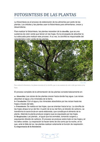 2 
FOTOSINTESIS DE LAS PLANTAS 
La fotosíntesis es el proceso de elaboración de los alimentos por parte de las plantas. Lo...