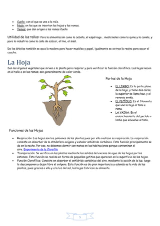 5 
 Cuello: con el que se une a la raíz. 
 Nudo: en los que se insertan las hojas y las ramas. 
 Yemas: que dan origen ...