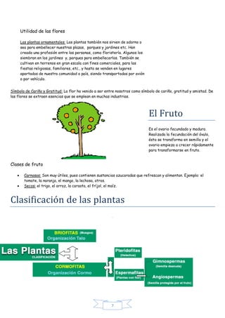 7 
Utilidad de las flores Las plantas ornamentales: Las plantas también nos sirven de adorno o sea para embellecer nuestra...