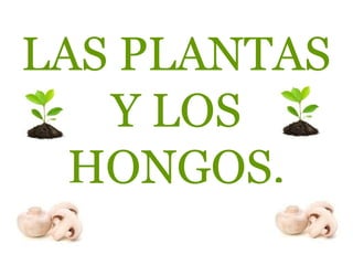 LAS PLANTAS
   Y LOS
  HONGOS.
 