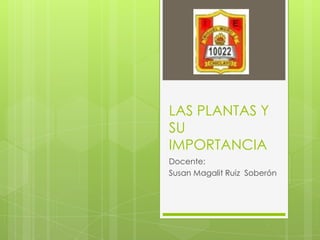 LAS PLANTAS Y
SU
IMPORTANCIA
Docente:
Susan Magalit Ruiz Soberón

 