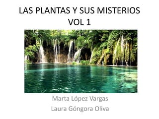 LAS PLANTAS Y SUS MISTERIOS
VOL 1
Marta López Vargas
Laura Góngora Oliva
 