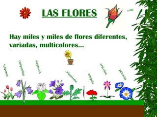 LAS FLORES Hay miles y miles de flores diferentes, variadas, multicolores...  tulipanes campanillas magnolias amapola orqu í dea petunias rosa crisantemo 