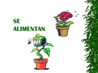 SE ALIMENTAN 