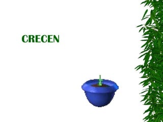 CRECEN 