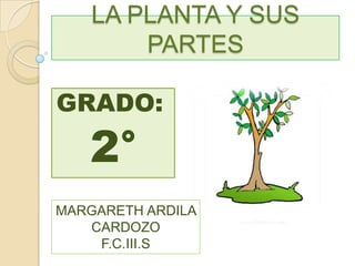 LA PLANTA Y SUS
        PARTES

GRADO:

   2°
MARGARETH ARDILA
   CARDOZO
    F.C.III.S
 