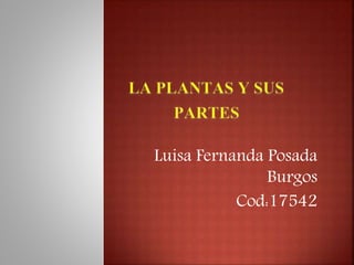 Luisa Fernanda Posada
Burgos
Cod:17542
 