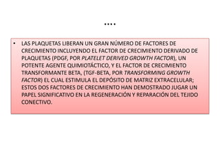 ….
• LAS PLAQUETAS LIBERAN UN GRAN NÚMERO DE FACTORES DE
CRECIMIENTO INCLUYENDO EL FACTOR DE CRECIMIENTO DERIVADO DE
PLAQUETAS (PDGF, POR PLATELET DERIVED GROWTH FACTOR), UN
POTENTE AGENTE QUIMIOTÁCTICO, Y EL FACTOR DE CRECIMIENTO
TRANSFORMANTE BETA, (TGF-BETA, POR TRANSFORMING GROWTH
FACTOR) EL CUAL ESTIMULA EL DEPÓSITO DE MATRIZ EXTRACELULAR;
ESTOS DOS FACTORES DE CRECIMIENTO HAN DEMOSTRADO JUGAR UN
PAPEL SIGNIFICATIVO EN LA REGENERACIÓN Y REPARACIÓN DEL TEJIDO
CONECTIVO.
